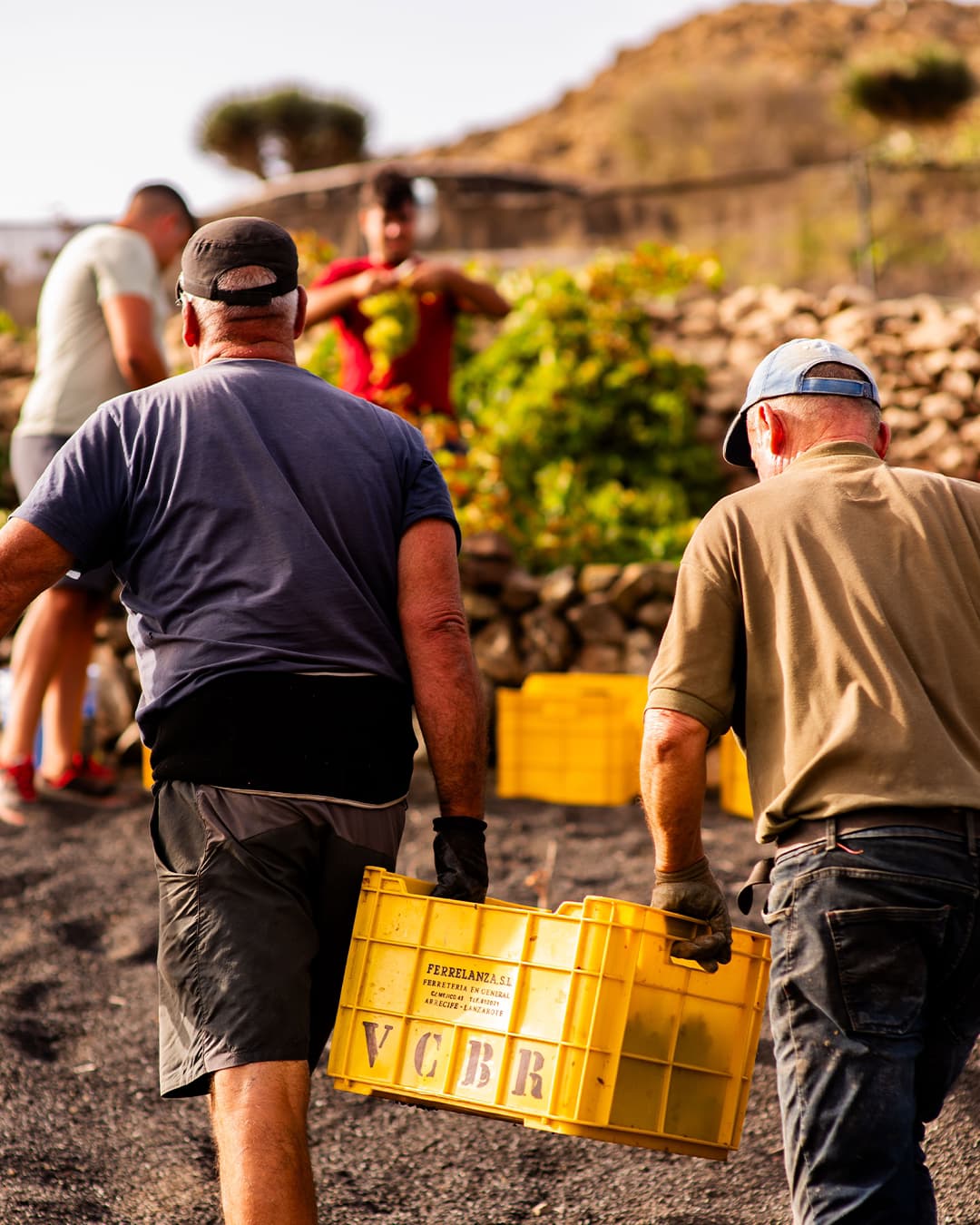 Dos trabajadores en el campo